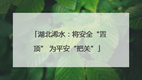 湖北浠水：将安全“置顶” 为平安“把关”