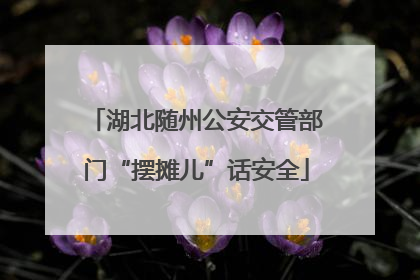 湖北随州公安交管部门“摆摊儿”话安全