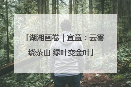 湖湘画卷｜宜章：云雾绕茶山 绿叶变金叶