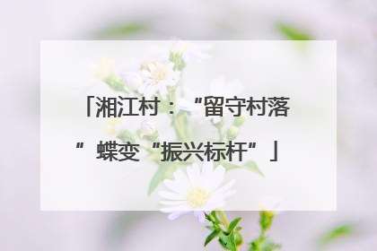 湘江村：“留守村落”蝶变“振兴标杆”