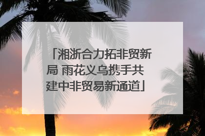 湘浙合力拓非贸新局 雨花义乌携手共建中非贸易新通道