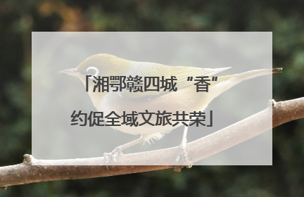 湘鄂赣四城“香”约促全域文旅共荣