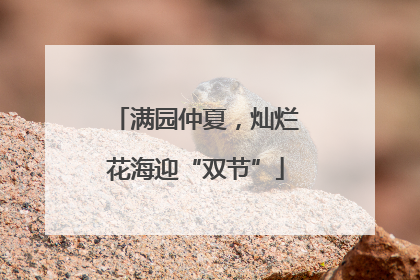 满园仲夏，灿烂花海迎“双节”