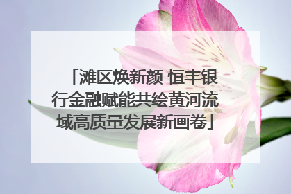 滩区焕新颜 恒丰银行金融赋能共绘黄河流域高质量发展新画卷