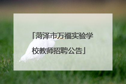 菏泽市万福实验学校教师招聘公告