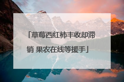 草莓西红柿丰收却滞销 果农在线等援手