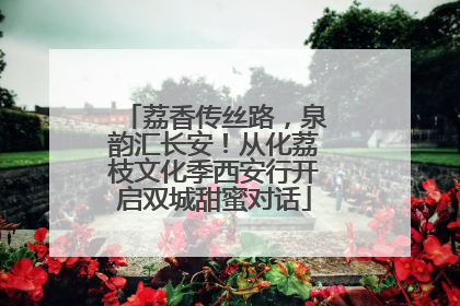 荔香传丝路，泉韵汇长安！从化荔枝文化季西安行开启双城甜蜜对话