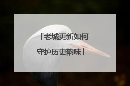 老城更新如何守护历史韵味