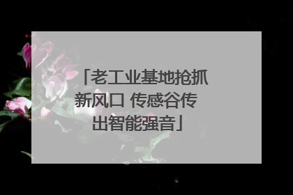 老工业基地抢抓新风口 传感谷传出智能强音