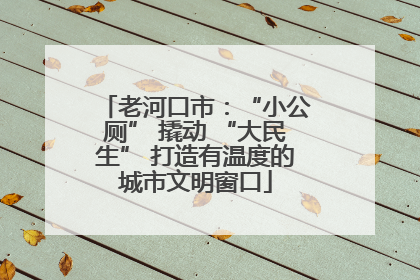 老河口市：“小公厕” 撬动 “大民生” 打造有温度的城市文明窗口