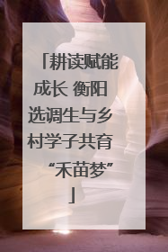 耕读赋能成长 衡阳选调生与乡村学子共育“禾苗梦”