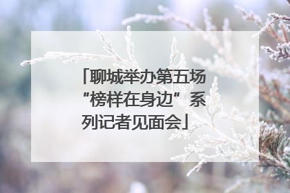 聊城举办第五场“榜样在身边”系列记者见面会