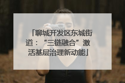 聊城开发区东城街道：“三链融合”激活基层治理新动能