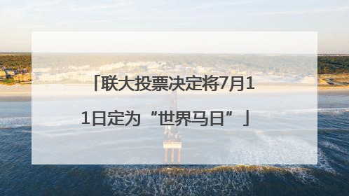 联大投票决定将7月11日定为“世界马日”