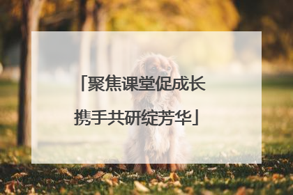 聚焦课堂促成长 携手共研绽芳华