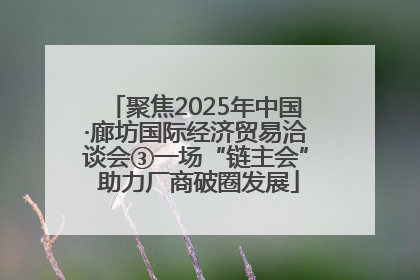 聚焦2025年中国·廊坊国际经济贸易洽谈会③一场“链主会” 助力厂商破圈发展