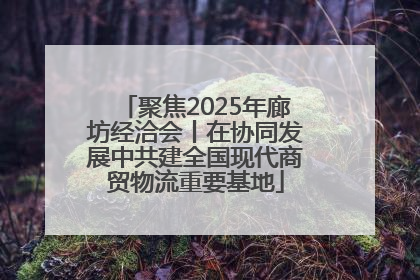 聚焦2025年廊坊经洽会丨在协同发展中共建全国现代商贸物流重要基地
