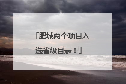 肥城两个项目入选省级目录！