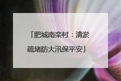 肥城南栾村：清淤疏堵防大汛保平安