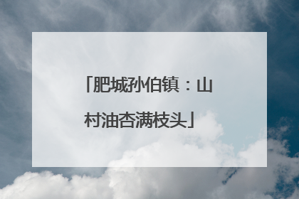 肥城孙伯镇：山村油杏满枝头