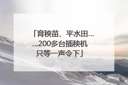 育秧苗、平水田……200多台插秧机只等一声令下