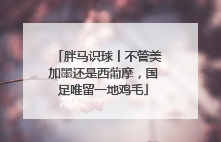 胖马识球丨不管美加墨还是西葡摩，国足唯留一地鸡毛