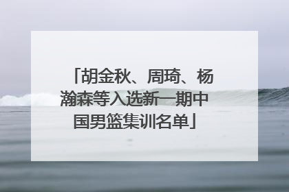 胡金秋、周琦、杨瀚森等入选新一期中国男篮集训名单