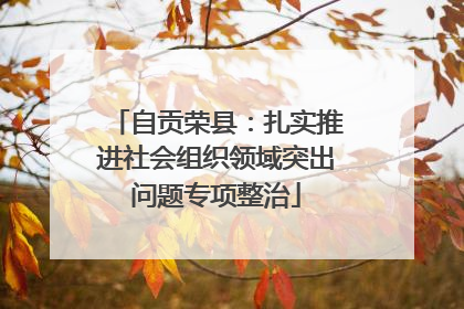 自贡荣县：扎实推进社会组织领域突出问题专项整治