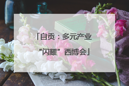 自贡：多元产业“闪耀”西博会
