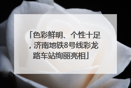 色彩鲜明、个性十足，济南地铁8号线彩龙路车站绚丽亮相