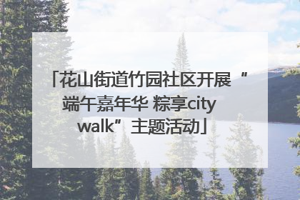 花山街道竹园社区开展“端午嘉年华 粽享city walk”主题活动