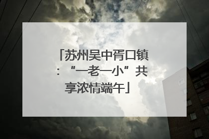 苏州吴中胥口镇：“一老一小”共享浓情端午