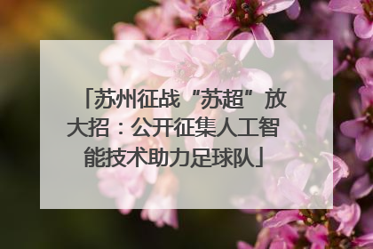 苏州征战“苏超”放大招：公开征集人工智能技术助力足球队