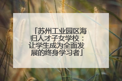 苏州工业园区海归人才子女学校：让学生成为全面发展的终身学习者