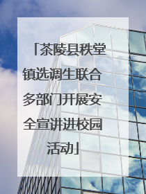 茶陵县秩堂镇选调生联合多部门开展安全宣讲进校园活动