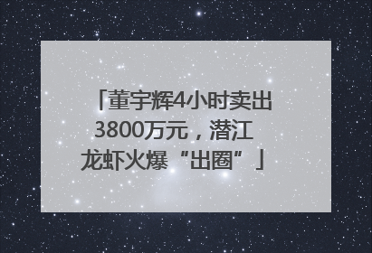 董宇辉4小时卖出3800万元，潜江龙虾火爆“出圈”