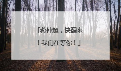 蒋仲超，快醒来！我们在等你！