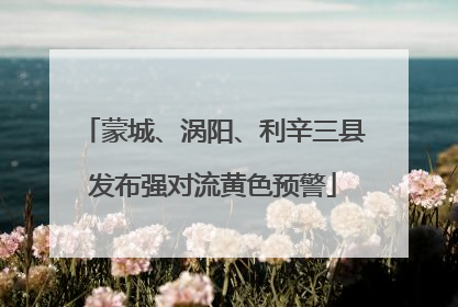 蒙城、涡阳、利辛三县发布强对流黄色预警