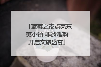 蓝莓之夜点亮东夷小镇 非遗雅韵开启文旅盛宴