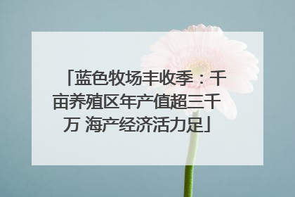 蓝色牧场丰收季：千亩养殖区年产值超三千万 海产经济活力足