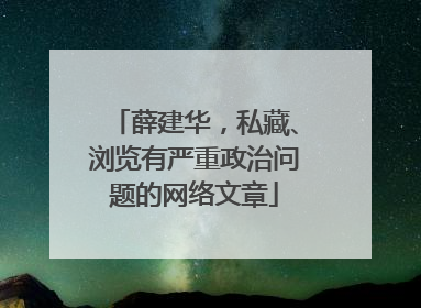 薛建华，私藏、浏览有严重政治问题的网络文章