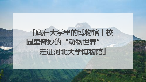 藏在大学里的博物馆丨校园里奇妙的“动物世界”——走进河北大学博物馆