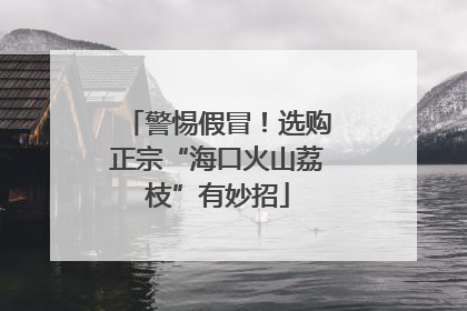 警惕假冒！选购正宗“海口火山荔枝”有妙招