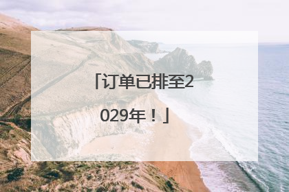 订单已排至2029年！