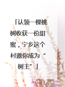 认领一棵桃树收获一份甜蜜，宁乡这个村邀你成为“树主”