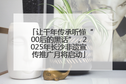 让千年传承听懂“00后的黑话”，2025年长沙非遗宣传推广月将启动