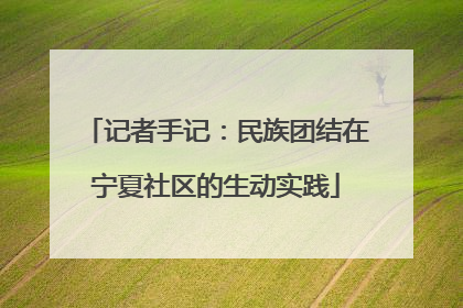 记者手记：民族团结在宁夏社区的生动实践