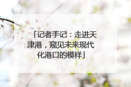记者手记：走进天津港，窥见未来现代化港口的模样