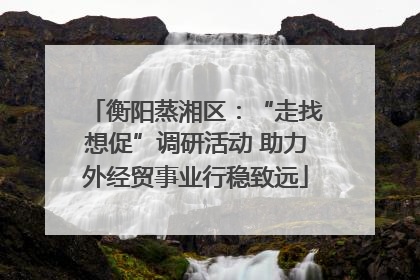 衡阳蒸湘区：“走找想促”调研活动 助力外经贸事业行稳致远