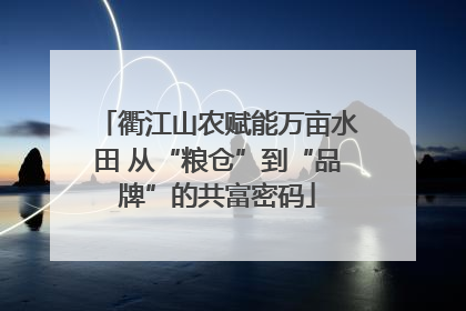 衢江山农赋能万亩水田 从“粮仓”到“品牌”的共富密码